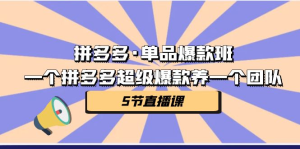 拼多多·单品爆款班,一个拼多多超级爆款养一个团队(5节直播课)-优课资源站