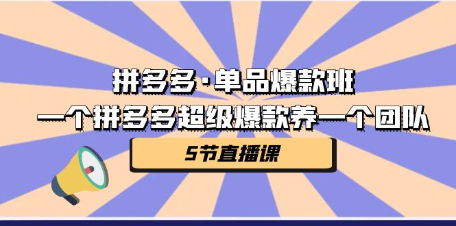 拼多多·单品爆款班，一个拼多多超级爆款养一个团队（5节直播课）-优课资源站