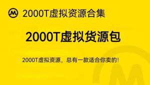【虚拟货源】2000T虚拟资源合集,总有一款合适你卖的!-优课资源站