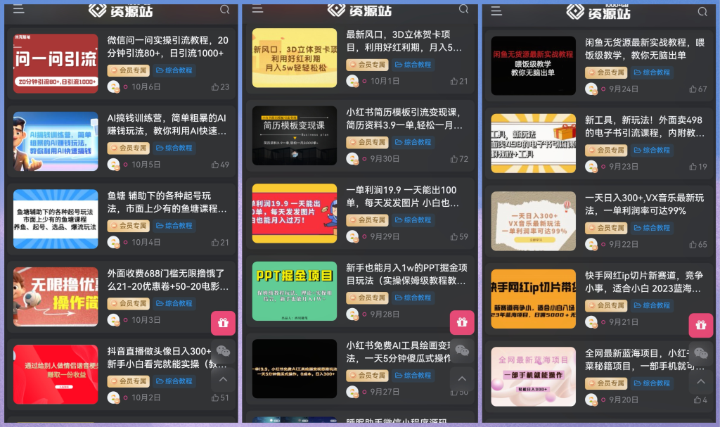 图片[3]-跟我一起实操网课项目，每月带你多赚5K-5W！-优课资源站